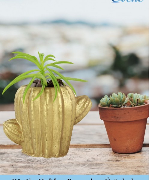 Mini Çiçek Saksı Küçük Sukulent Altın Kaktüs Saksısı Kaktüs Figür Model